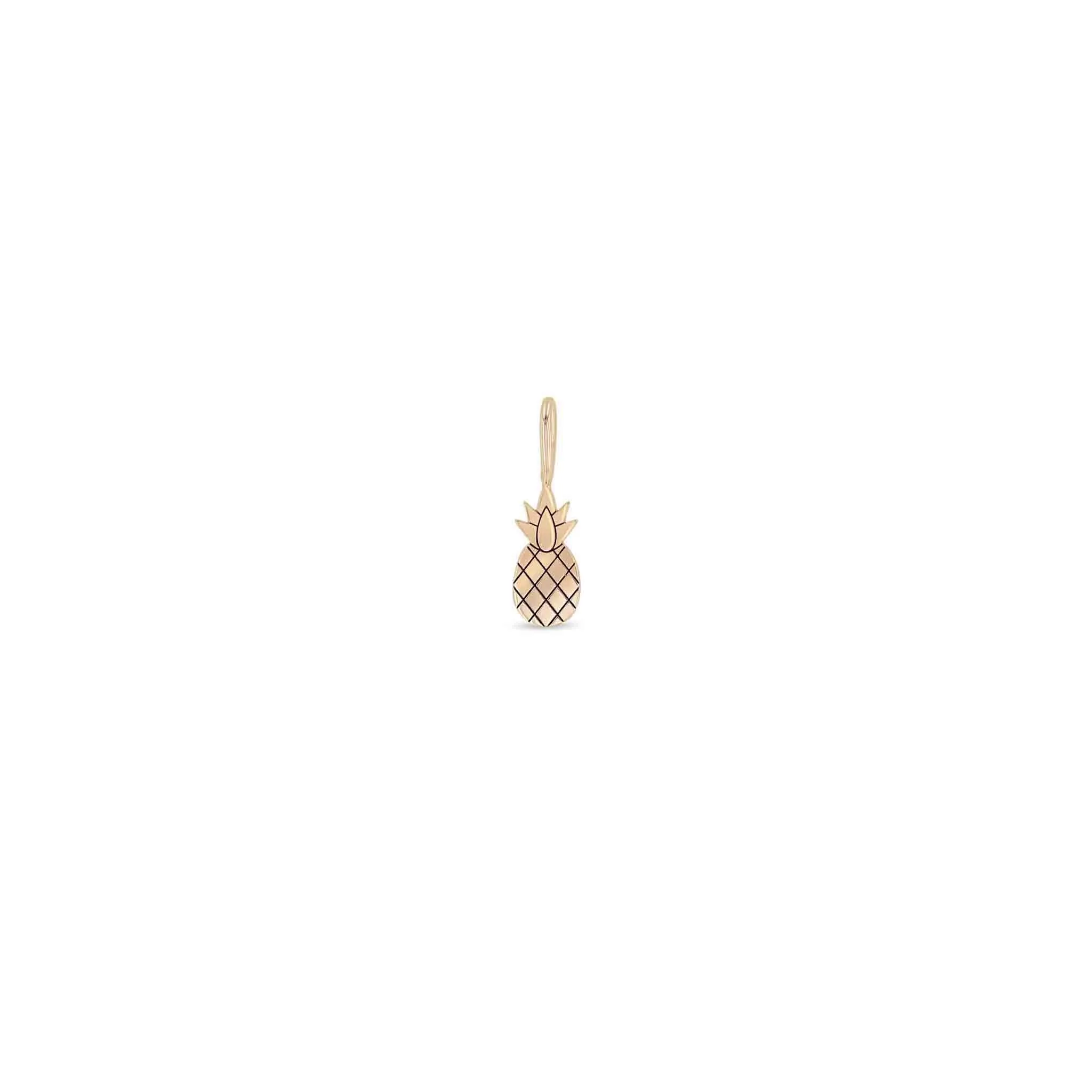 14k Single Midi Bitty Pineapple Charm