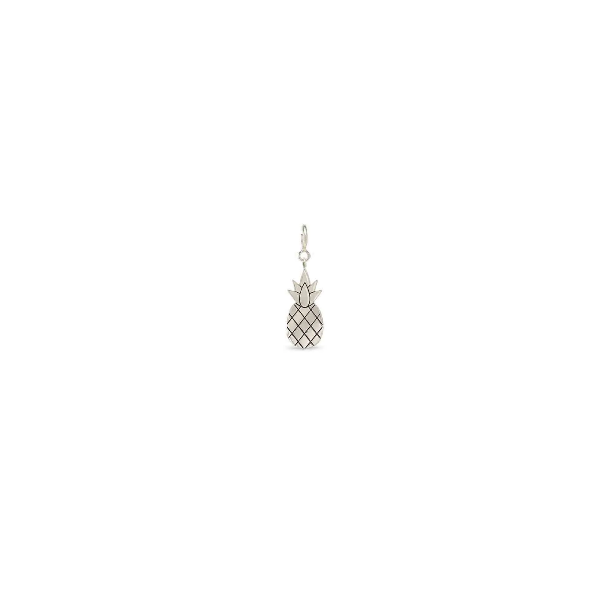 14k Single Midi Bitty Pineapple Charm