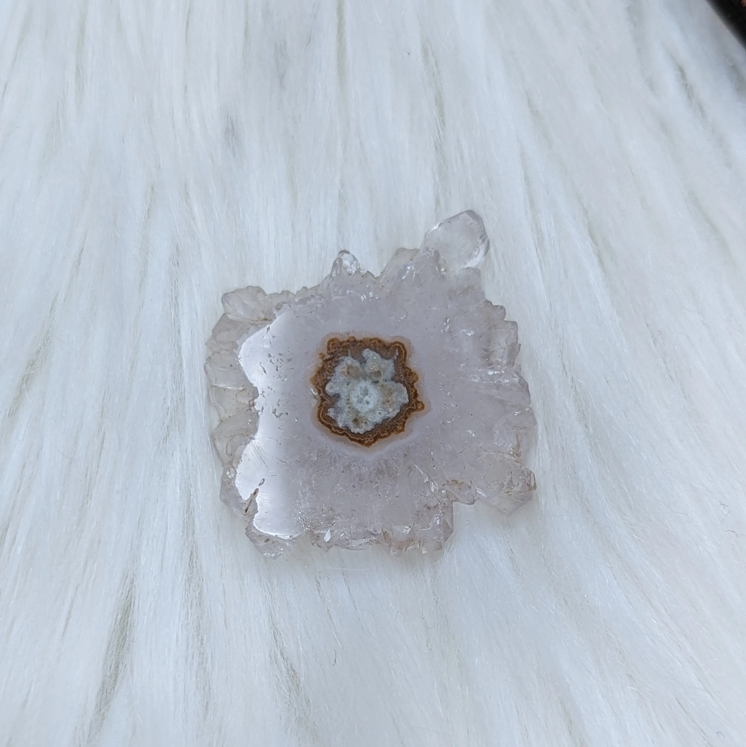 Amethyst Stalactite Slice Specimen #1 ~ Expansion of the Higher Self