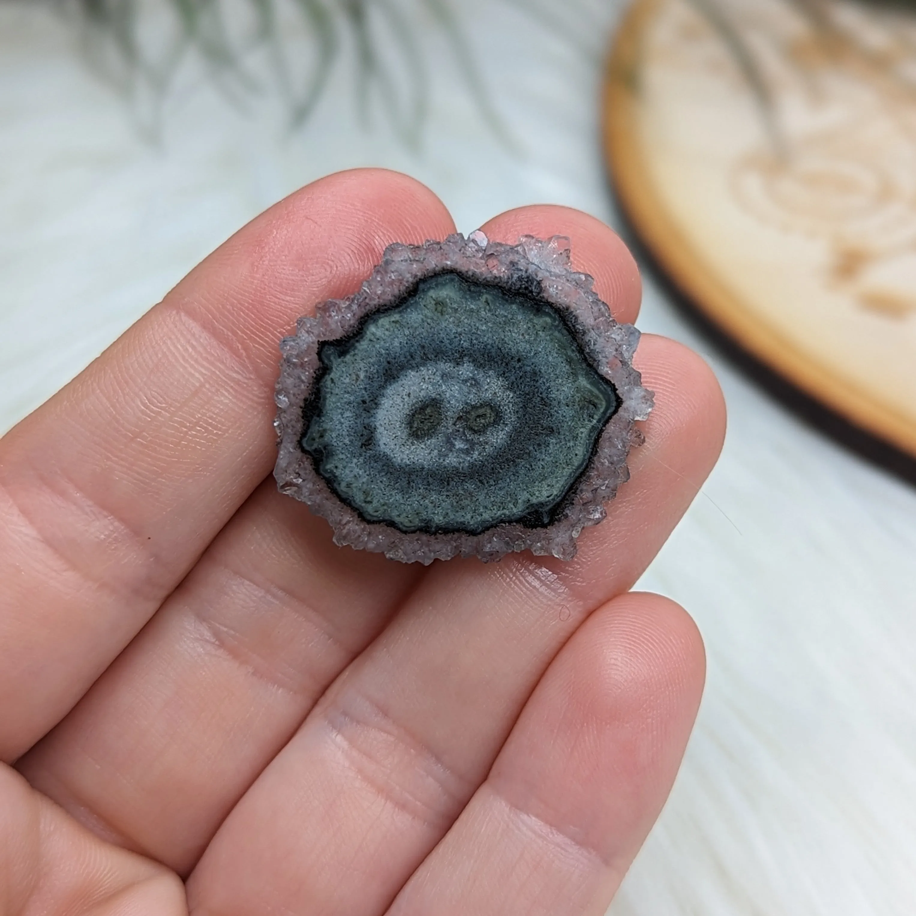 Amethyst Stalactite Slice Specimen #3 ~ Expansion of the Higher Self