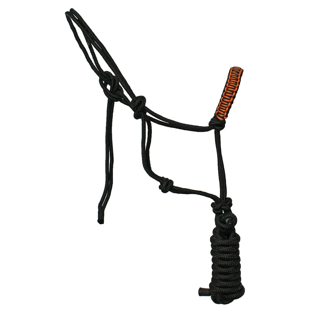 Cowboy Collection Nylon Halter with Lead