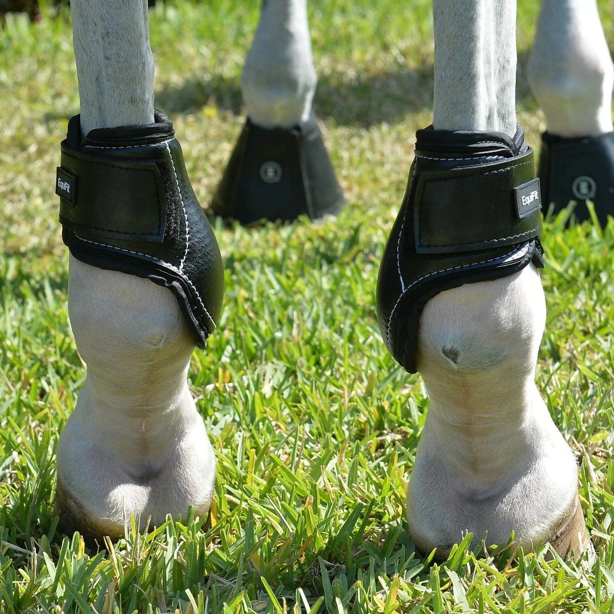 EquiFit Young Horse Hind Boot