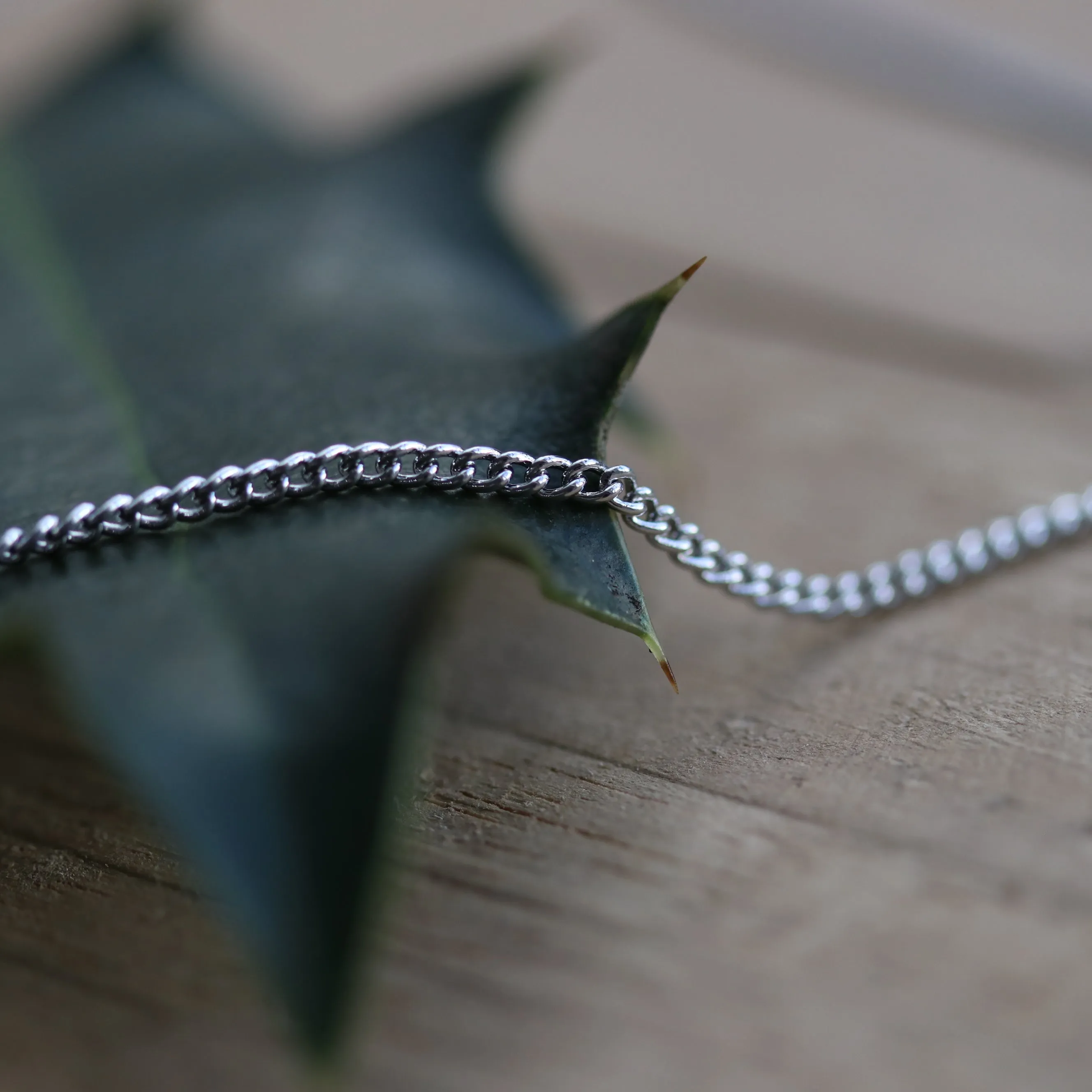 Plain Silver / Gold Curb Chain Necklace