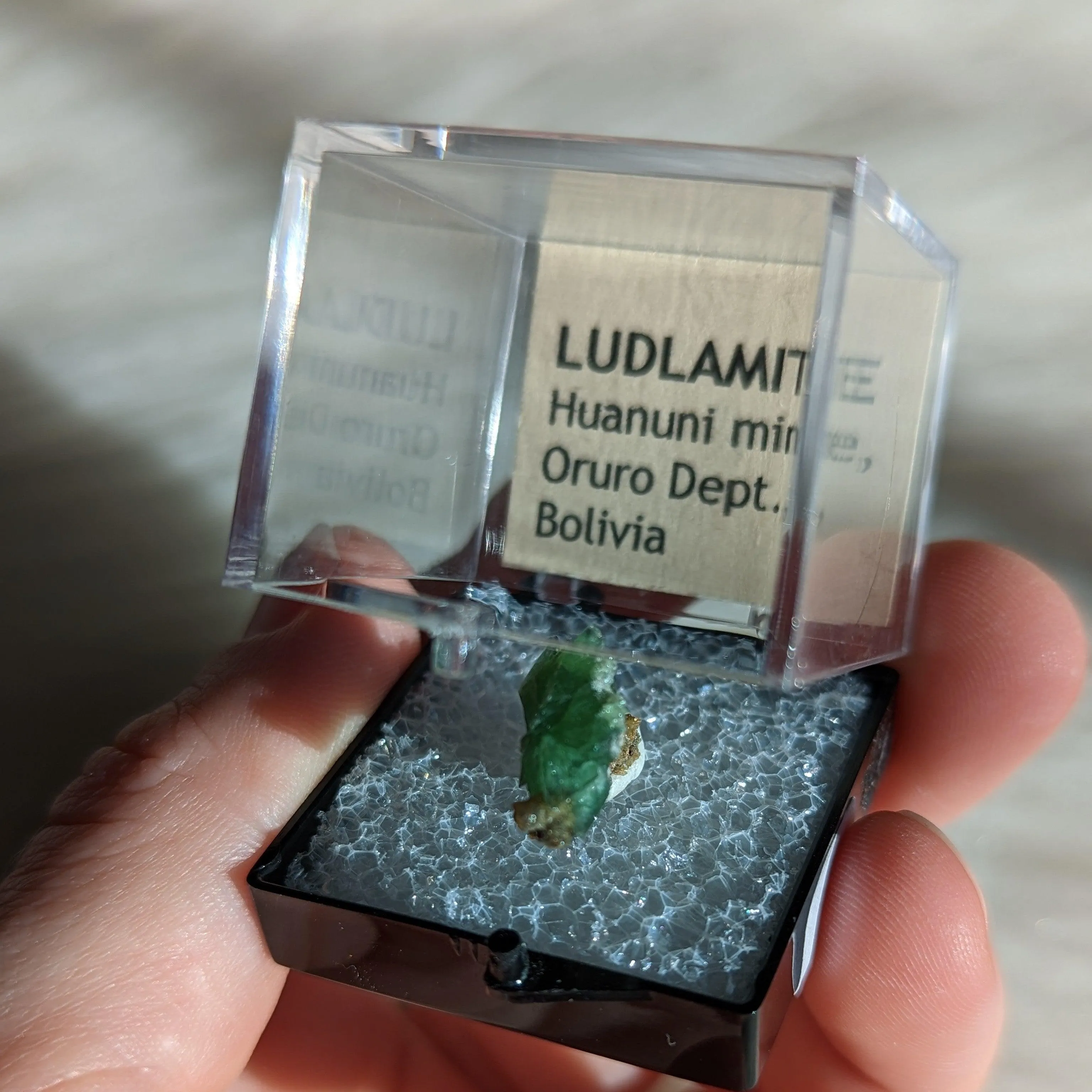 Rare and Beautiful Ludlamite from Bolivia, Collectors Specimen ~ in Collectors Case