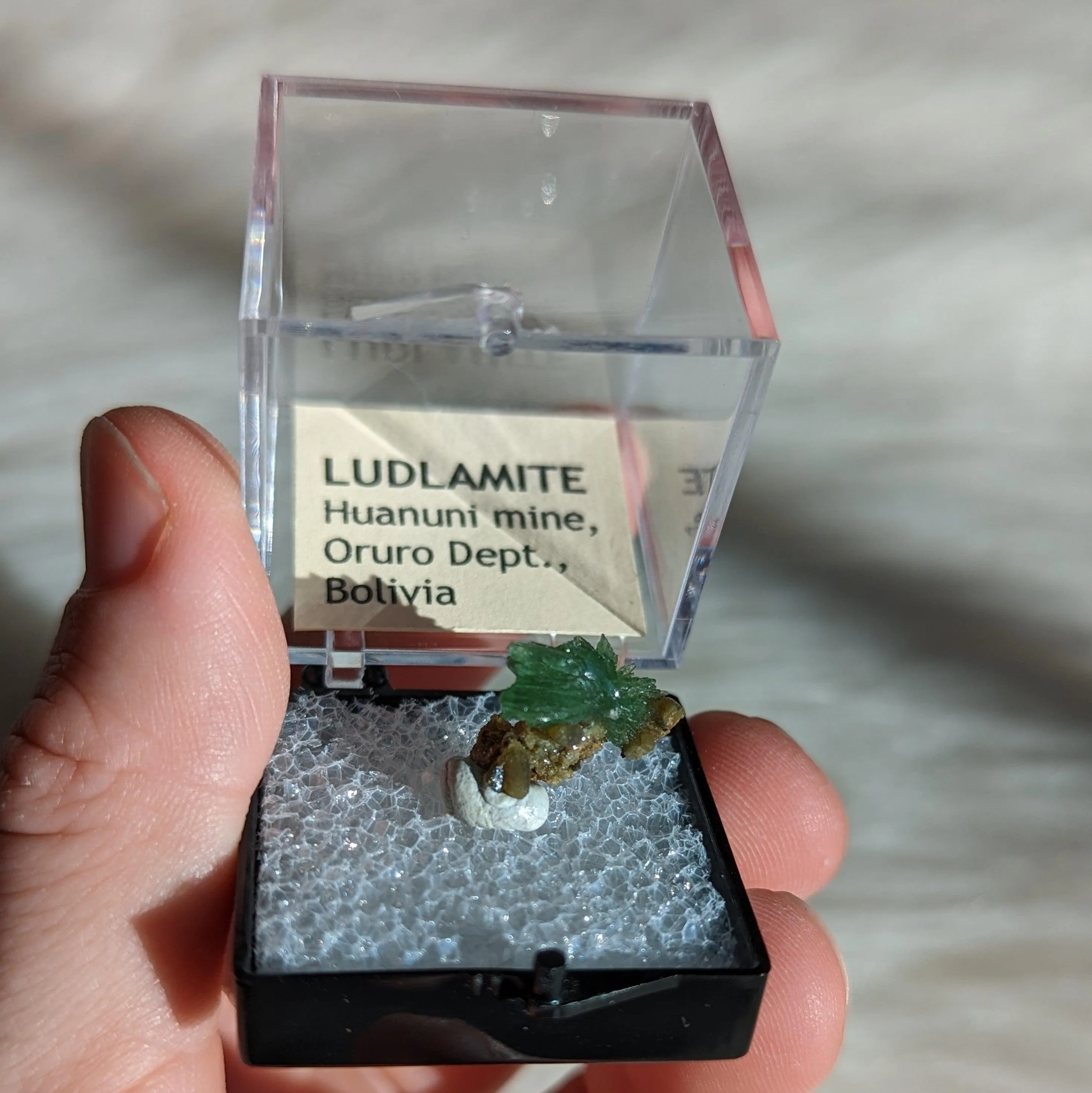 Rare and Beautiful Ludlamite from Bolivia, Collectors Specimen ~ in Collectors Case