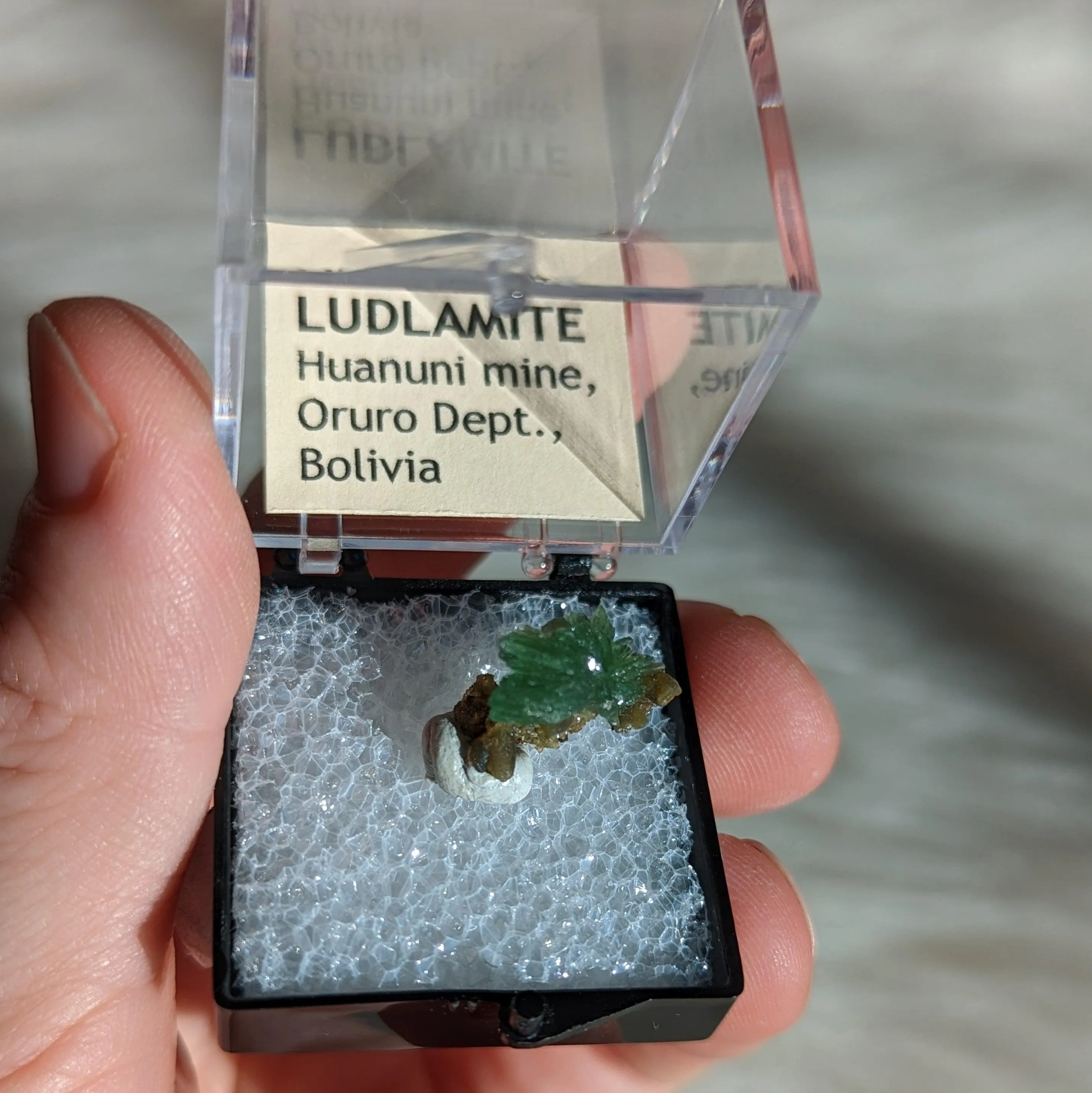 Rare and Beautiful Ludlamite from Bolivia, Collectors Specimen ~ in Collectors Case