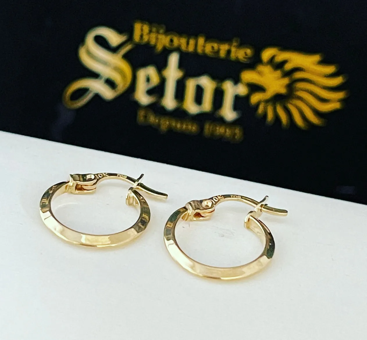 Small hoop earrings E219